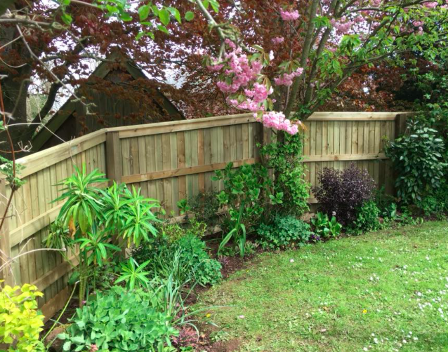 fence things buying consider should before